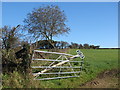 ST7703 : Dislodged footpath sign by a gateway near Anstey Cross by Sarah Charlesworth