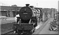 A Down fast freight thunders through Hendon Station