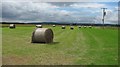 Hay bales, Dougalshill