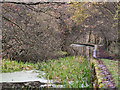 Manchester, Bolton & Bury Canal, Prestolee