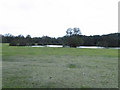 Fishing lake at Worlingham