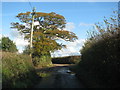 Autumn colour on the tree by the crossroads