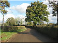 Mud on the road near Whimple