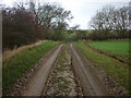 A track heading to Burton Road