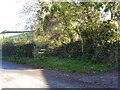 Footpath No.16 at Brooklands