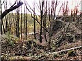 Manchester, Bolton & Bury Canal; Site of Breach