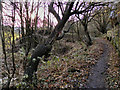 Manchester, Bolton & Bury Canal