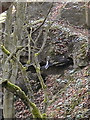 Manchester, Bolton & Bury Canal;  Breach