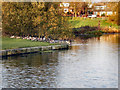 Manchester, Bolton & Bury Canal; Top o? th? Lodge