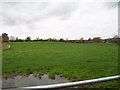 Pasture land west of the Kilmegan Road