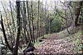 Footpath on Abbey Craig