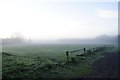 Abbey Lane mists