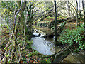 Stream draining Ditchling Common