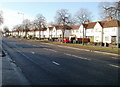 Cardiff : Cowbridge Road West houses west of Amroth Road