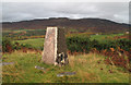 Trig point and summit area of Torr a? Choiltreich