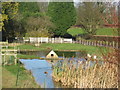 Duckpond with duckhouse at Stowey Manor
