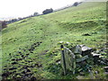 Footpath on Billinge Hill