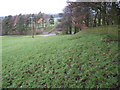 North Cheshire Way near Platt Wood Farm