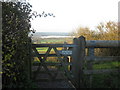 Hedge and  gate at Prospect Stile