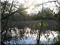 Pond at North Widcombe Farm