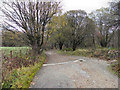 Bridleway Between Gleaves Reservoir and Longworth Lane