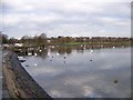 West corner of Hogganfield Loch