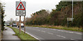 Crawler lane near Downpatrick (3)