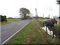 Road Junction on the B819 - Crosshill Road