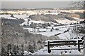 Newland in the Snow