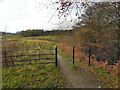 Pennine Bridleway