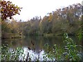 Flooded clay pit at Newbold