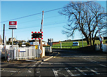 NT1067 : Level crossing, Kirknewton station by michael ely