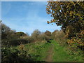 Bridleway to Sene Farm