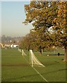 Goalposts, Bushey Mead