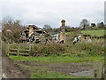 Ruin in Langley Bottom