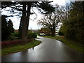 The road to Lodge Farm