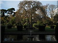 Pond and willow tree in Kingsnorth Gardens