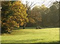 Open space at Farnham Common