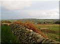 View eastwards across the Ballybannon Valley