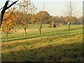 Trees, Huntswood Golf Club