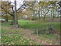 Footbridge near Shaw Wood