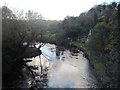 River Dee from Newbridge bridge