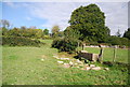 Water trough by the Sussex Border Path