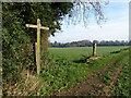 Path junction at corner of Furzefield Copse