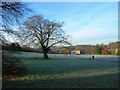 The Downs from Lenton Hall Drive