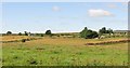 Hay meadows, Blackburn