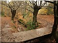 Footbridge over Loughton Brook