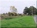 TQ6003 : Grass verge on Huggets Lane, Eastbourne by nick macneill