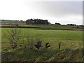 Ballygelly Townland