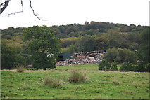 TQ5833 : Saw mill, Eridge Park by N Chadwick